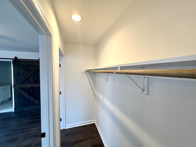 spacious closet featuring a barn door and dark hardwood / wood-style flooring