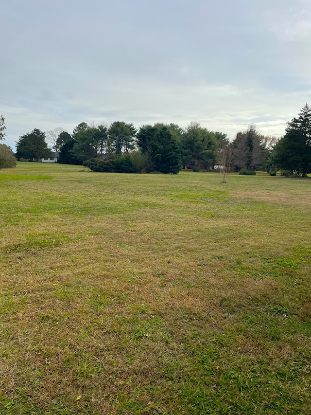 view of yard with a rural view