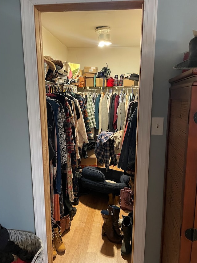 spacious closet with hardwood / wood-style flooring