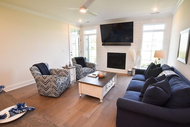 living room featuring a large fireplace, crown molding, ceiling fan, and dark wood-type flooring