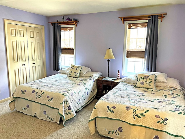 bedroom with a closet, carpet floors, and multiple windows