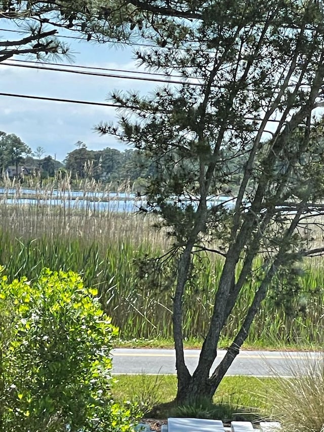 7205 Bunting Rd, Chincoteague, VA 23336 - photo 52