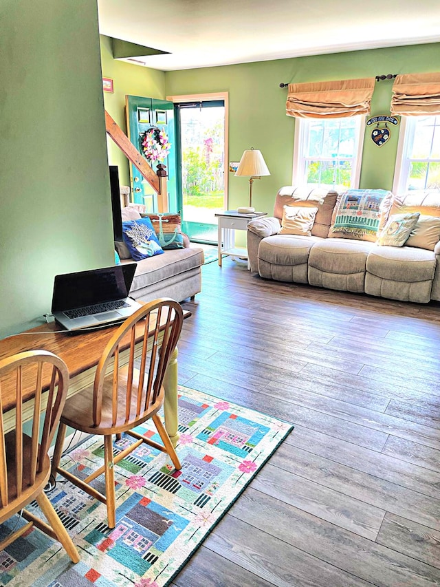 living room featuring hardwood / wood-style floors and a healthy amount of sunlight