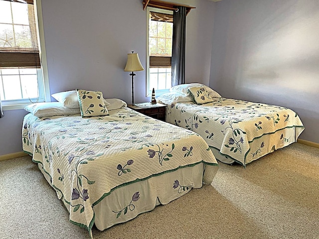 bedroom featuring carpet