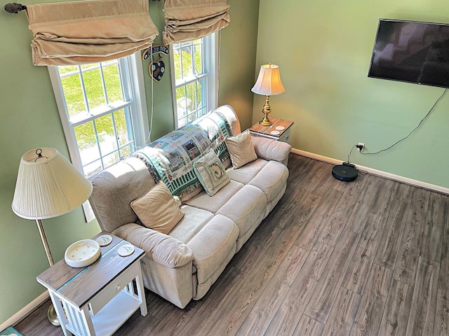 living room with hardwood / wood-style flooring