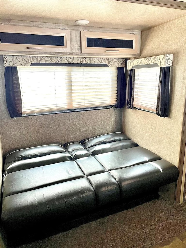 bedroom featuring multiple windows