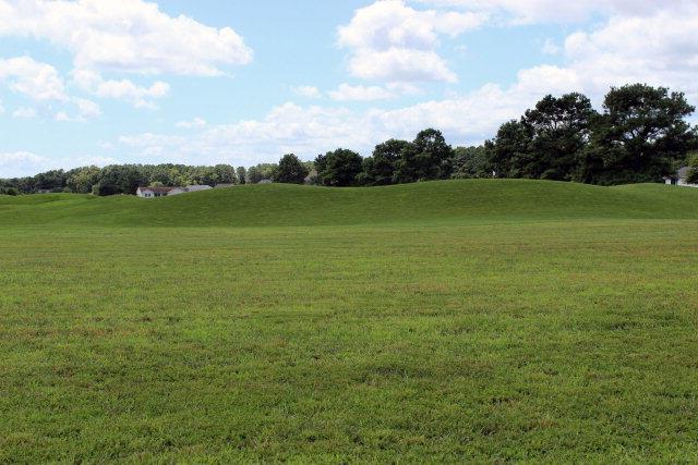 view of local wilderness