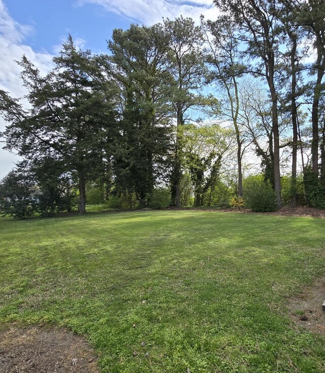 10186 Pine Ave, Nassawadox, VA 23416 - photo 3