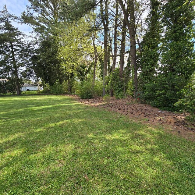 10186 Pine Ave, Nassawadox, VA 23416 - photo 5