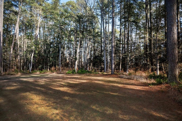 view of local wilderness