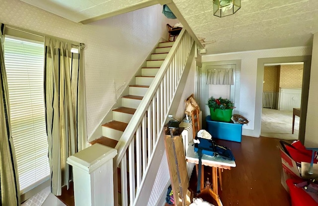staircase featuring wainscoting, wallpapered walls, a healthy amount of sunlight, and wood finished floors