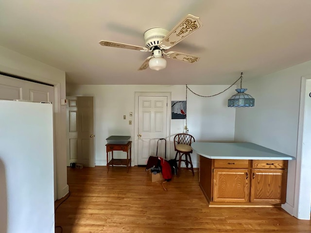 dining area featuring a ceiling fan and light wood finished floors
