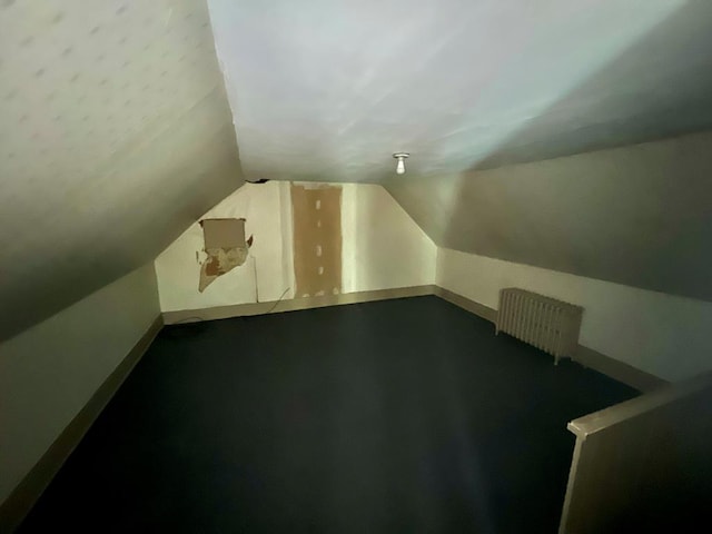additional living space with lofted ceiling