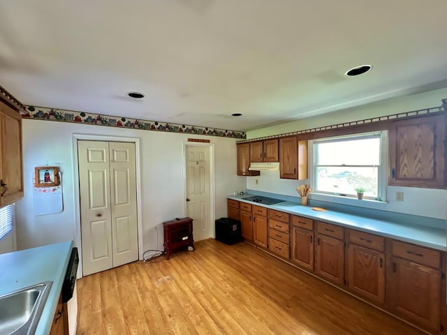 kitchen with light countertops, brown cabinetry, under cabinet range hood, and black electric cooktop