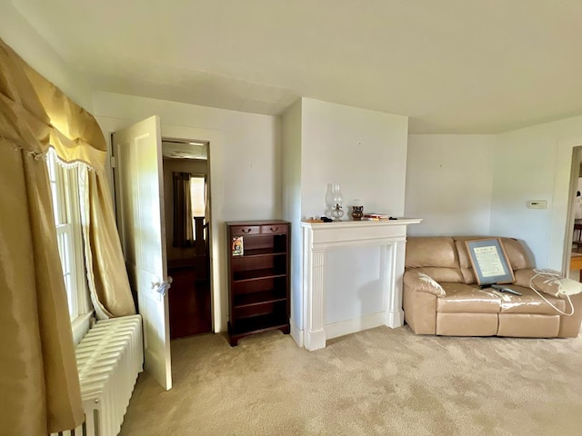 sitting room with light carpet and radiator