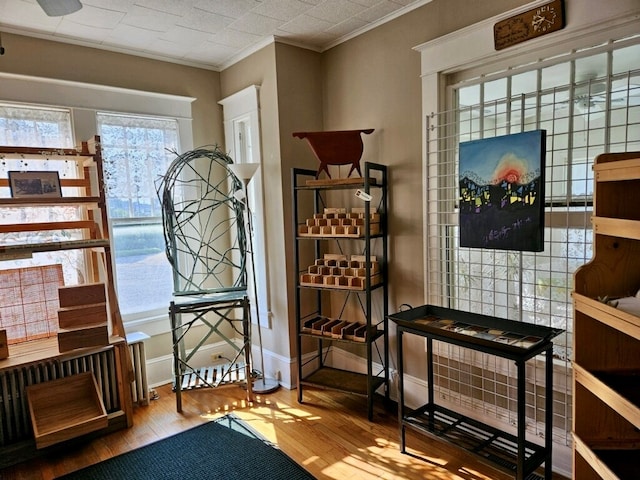 interior space featuring ceiling fan, wood-type flooring, and ornamental molding