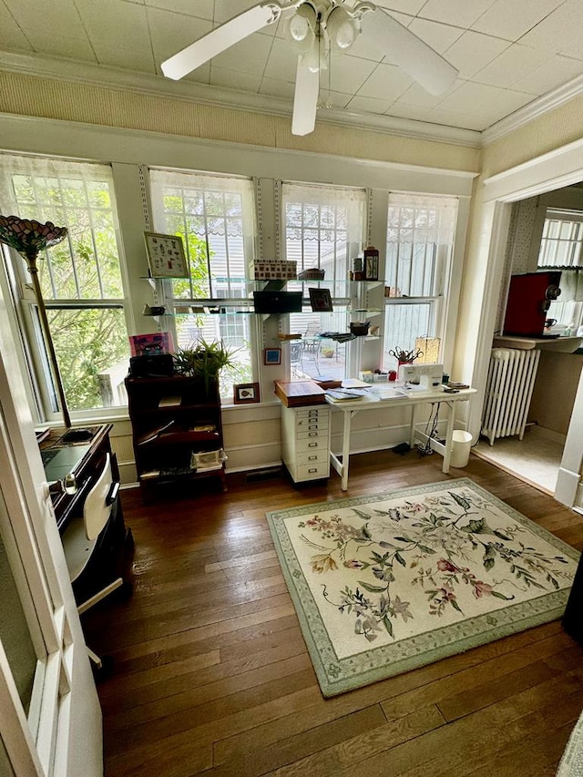 sunroom / solarium featuring plenty of natural light and ceiling fan