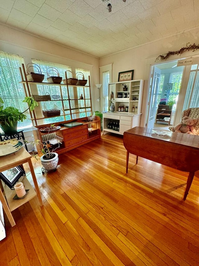 sitting room featuring light wood-type flooring