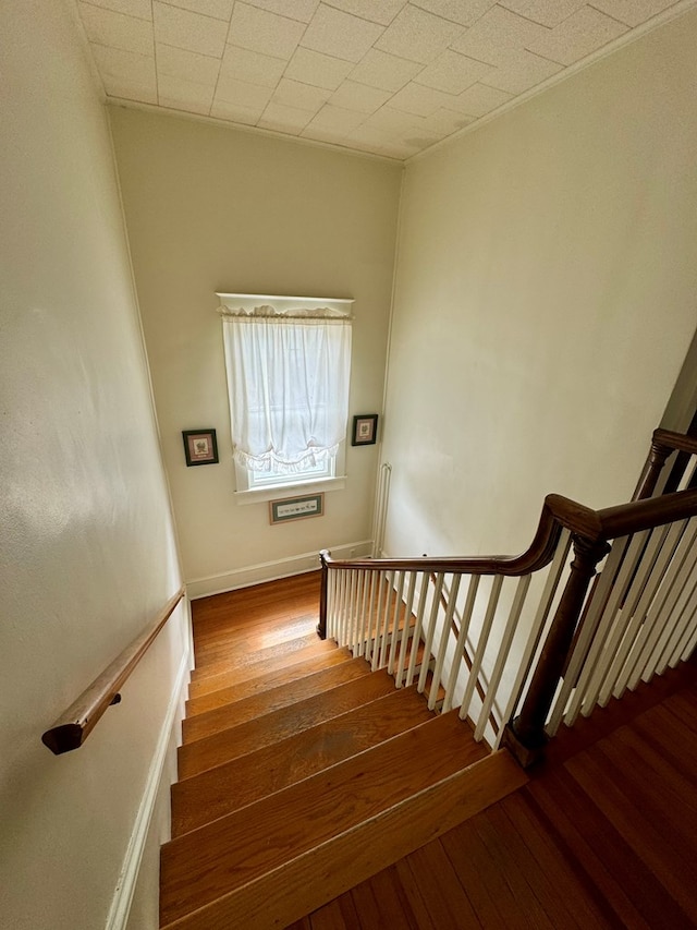 stairs with hardwood / wood-style flooring