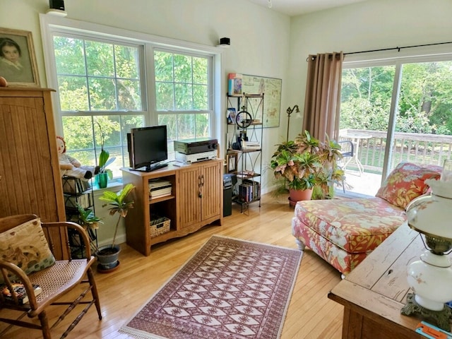 office area with light hardwood / wood-style flooring