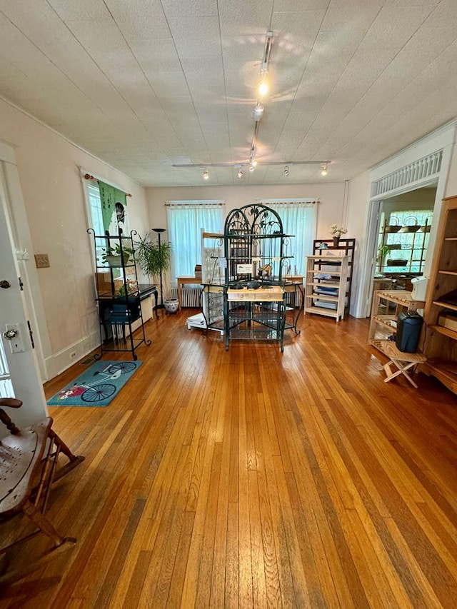 dining room featuring hardwood / wood-style flooring and rail lighting