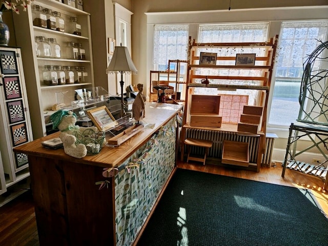 bar featuring wooden counters and hardwood / wood-style flooring