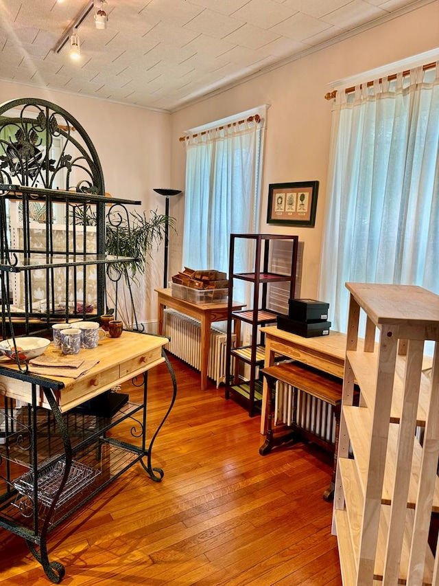 interior space featuring hardwood / wood-style floors, rail lighting, and radiator