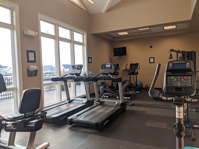 workout area featuring lofted ceiling