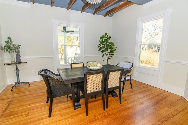 dining room featuring beam ceiling, a healthy amount of sunlight, and light hardwood / wood-style floors