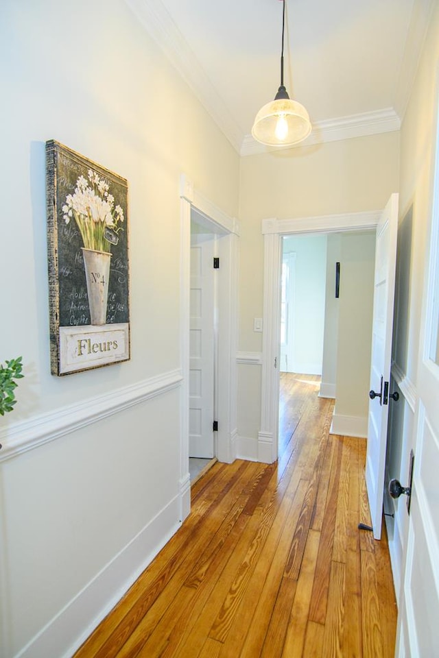 hall with crown molding and hardwood / wood-style flooring