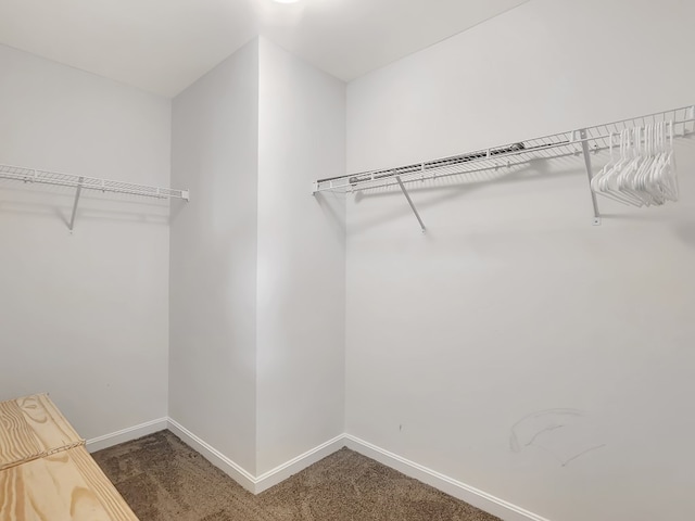 spacious closet featuring dark carpet