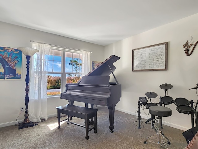 miscellaneous room featuring carpet flooring and a healthy amount of sunlight