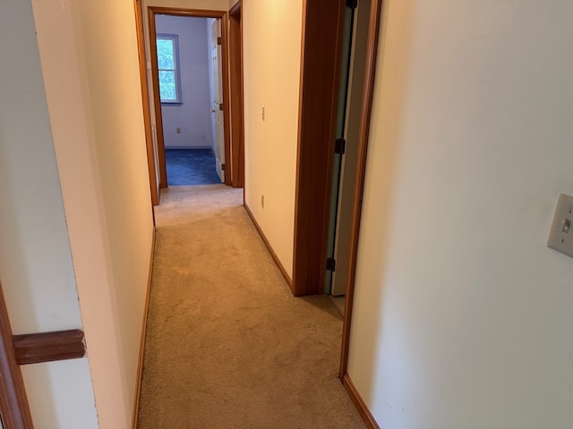 5252 Lucas Trl, Machipongo, VA 23405 - photo 9