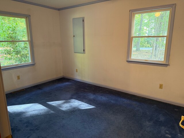 5252 Lucas Trl, Machipongo, VA 23405 - photo 12