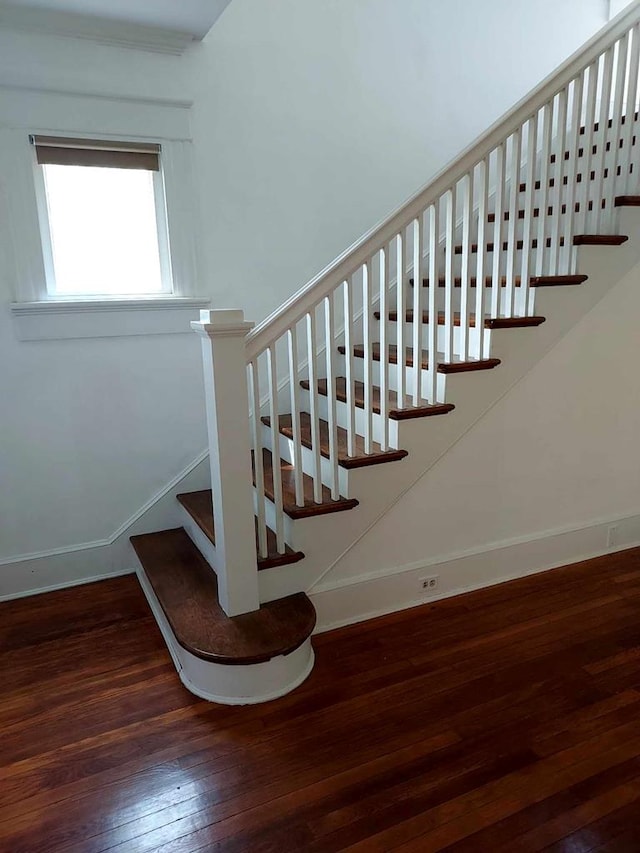 staircase with hardwood / wood-style floors
