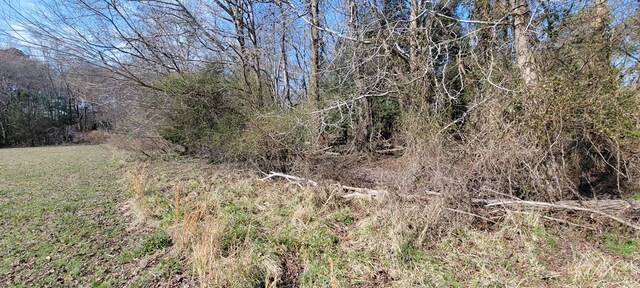 LOT5 Clearwater Way Unit 5, Belle Haven, VA 23306 - photo 8
