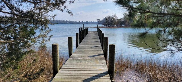 LOT5 Clearwater Way Unit 5, Belle Haven, VA 23306 - photo 14