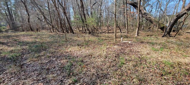 LOT5 Clearwater Way Unit 5, Belle Haven, VA 23306 - photo 10