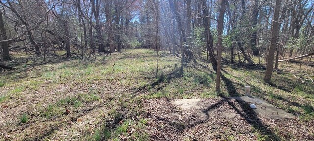 LOT5 Clearwater Way Unit 5, Belle Haven, VA 23306 - photo 11