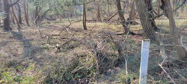 LOT5 Clearwater Way Unit 5, Belle Haven, VA 23306 - photo 13
