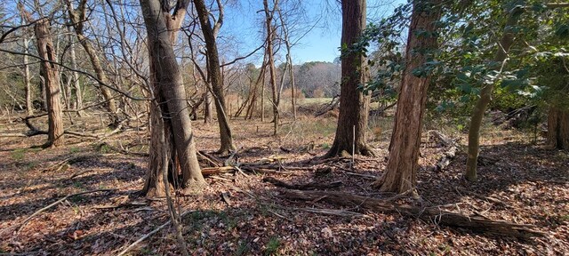 LOT5 Clearwater Way Unit 5, Belle Haven, VA 23306 - photo 4