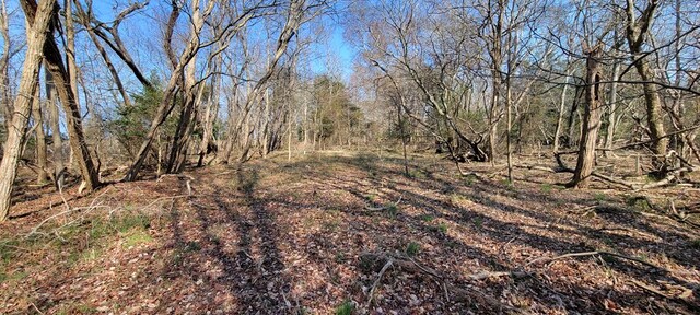 LOT5 Clearwater Way Unit 5, Belle Haven, VA 23306 - photo 9