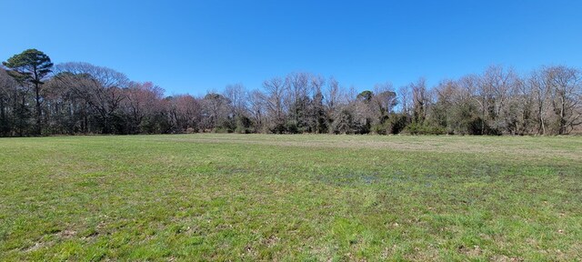 LOT5 Clearwater Way Unit 5, Belle Haven, VA 23306 - photo 6