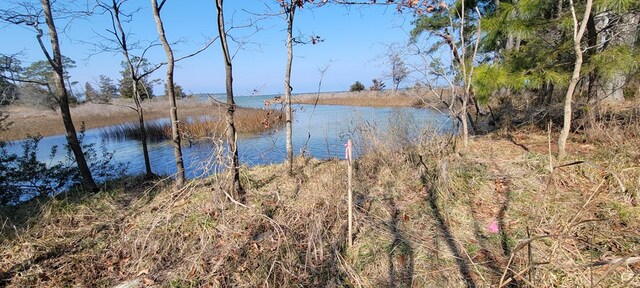 LOT5 Clearwater Way Unit 5, Belle Haven, VA 23306 - photo 5