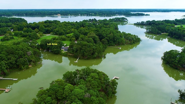 bird's eye view featuring a water view and a forest view