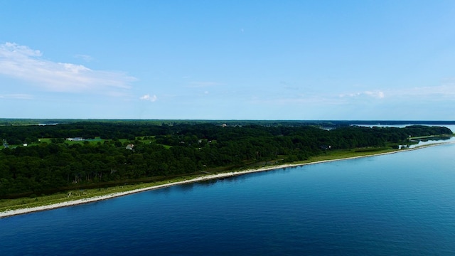 aerial view with a water view and a view of trees