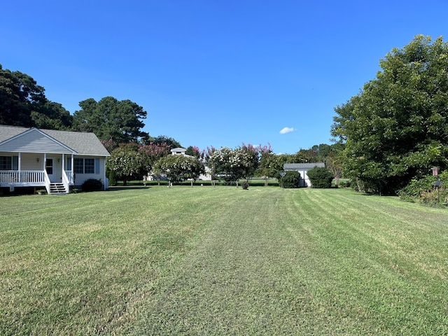 view of yard featuring a porch