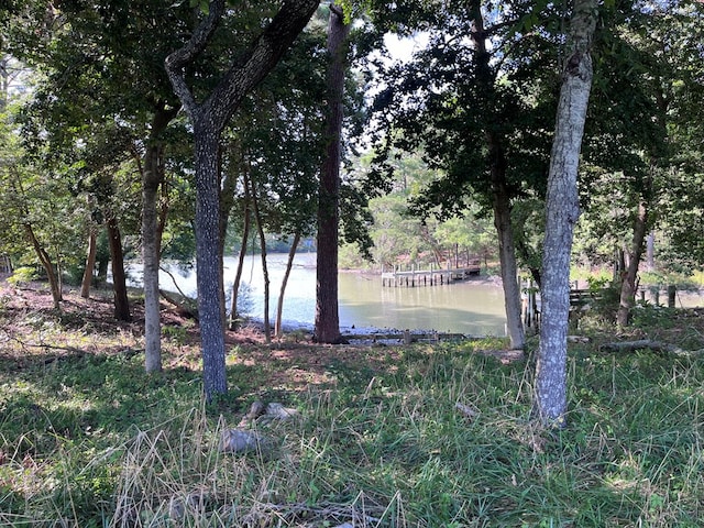 view of water feature