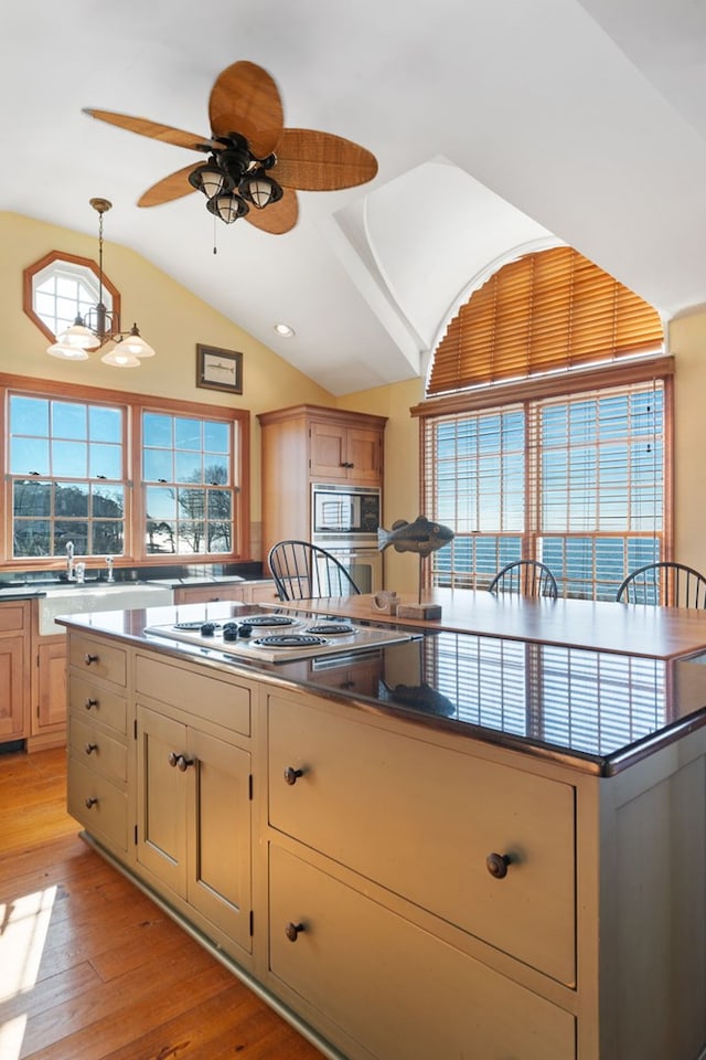 kitchen with ceiling fan, plenty of natural light, light hardwood / wood-style flooring, and appliances with stainless steel finishes