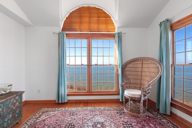 living area featuring a water view, vaulted ceiling, plenty of natural light, and light hardwood / wood-style flooring